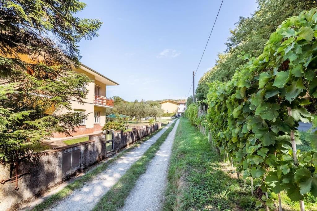 Appartamento Poggio Del Sole Lucca Exterior photo